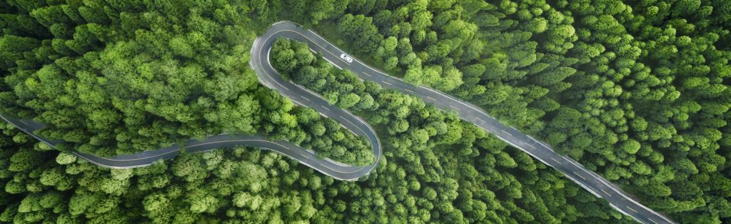 Aerial view of a road in the middle of the forest